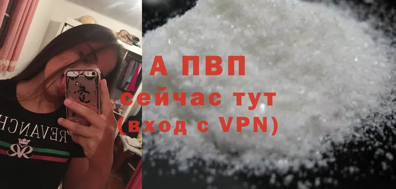 A PVP СК  Нальчик 